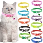 Collier chat multicolore avec clochette