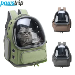 Sac de transport transparent pour chat