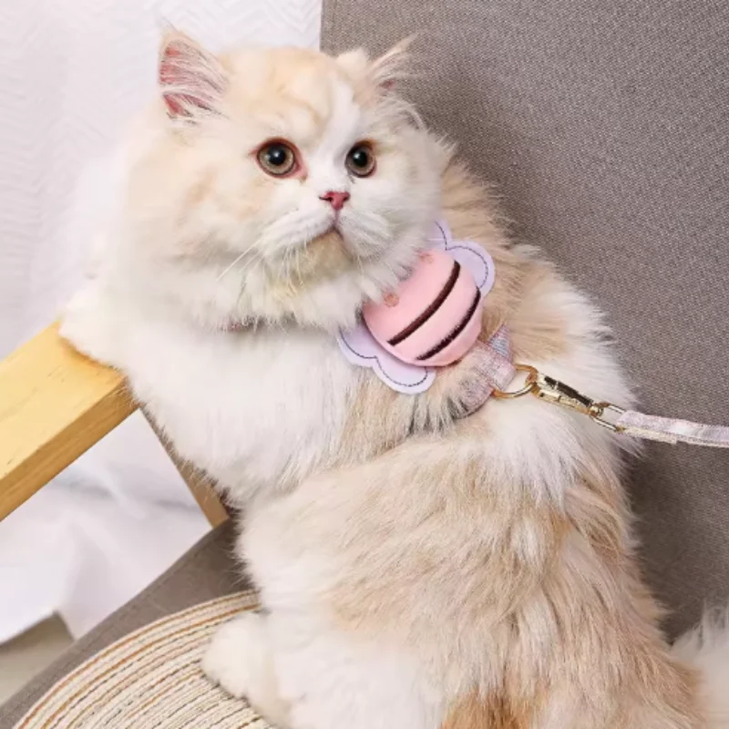 Harnais et laisse réglables pour chat