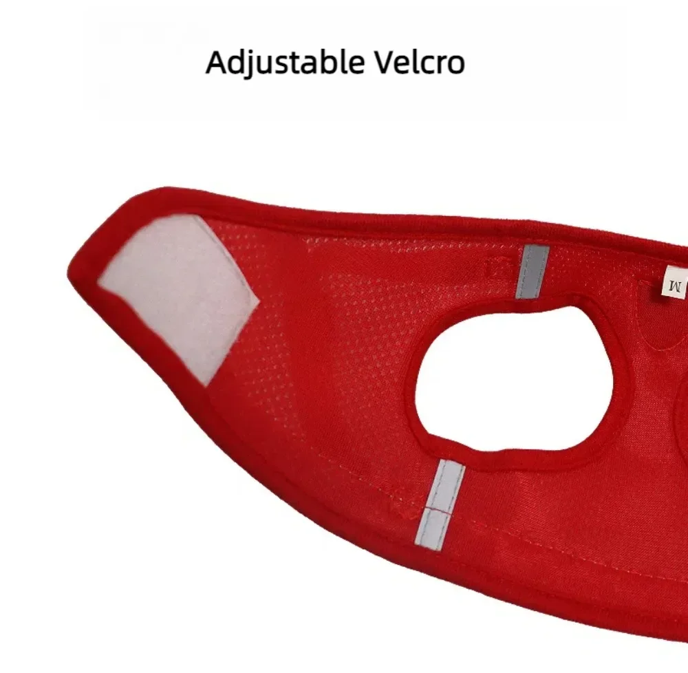 Harnais réfléchissant anti-fugue pour chat – Image 19