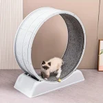 Roue d’exercice silencieuse pour chat