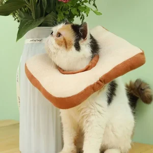 Collerette gonflable anti-léchage pour chat