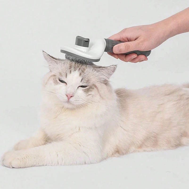Brosse antidérapante à aiguilles pour chat – Image 2