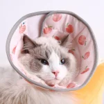 Collerette souple de protection pour chat