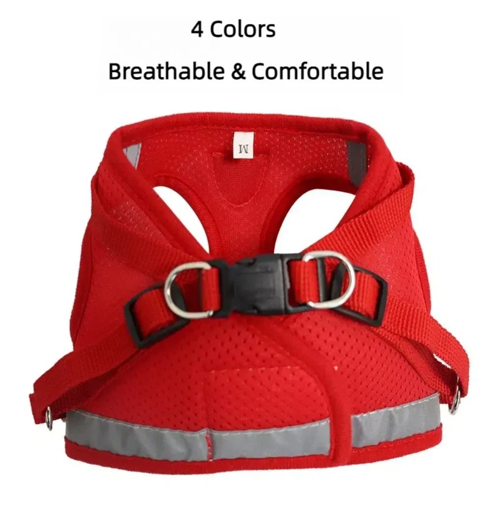 Harnais réfléchissant anti-fugue pour chat – Image 13