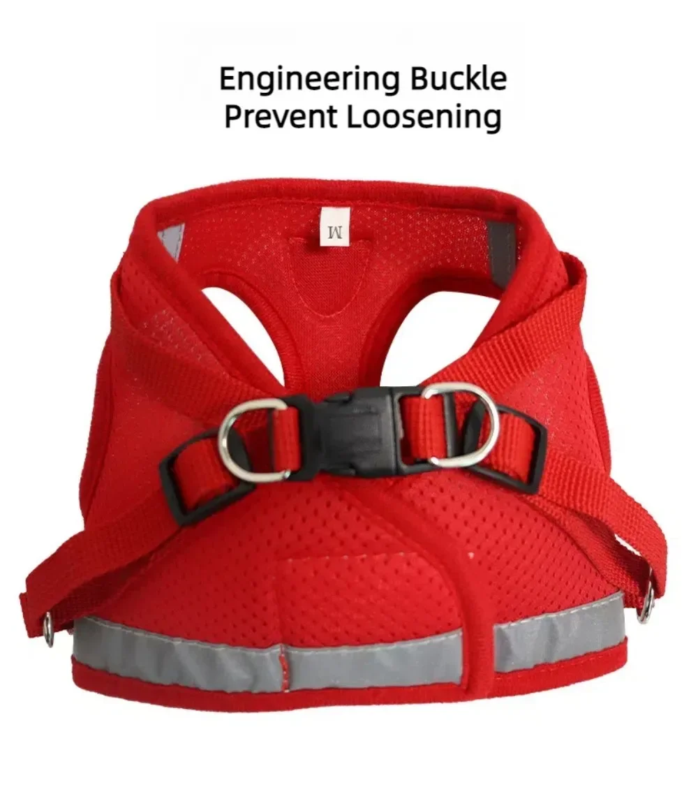 Harnais réfléchissant anti-fugue pour chat – Image 18