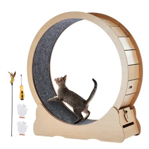 Roue d’exercice en bois pour chat