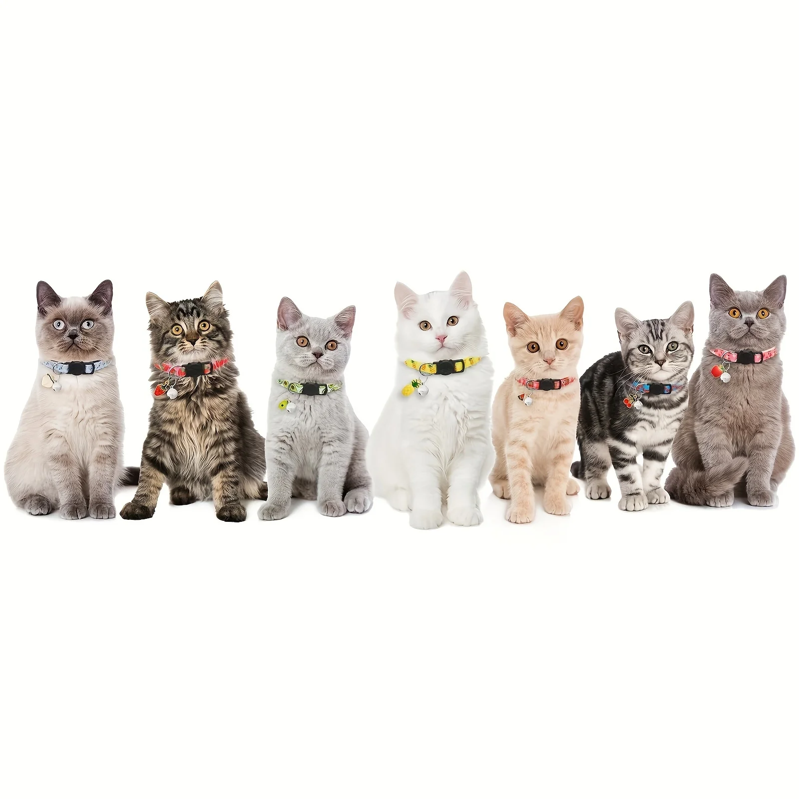 Lot 7 colliers réfléchissants pour chat – Image 8