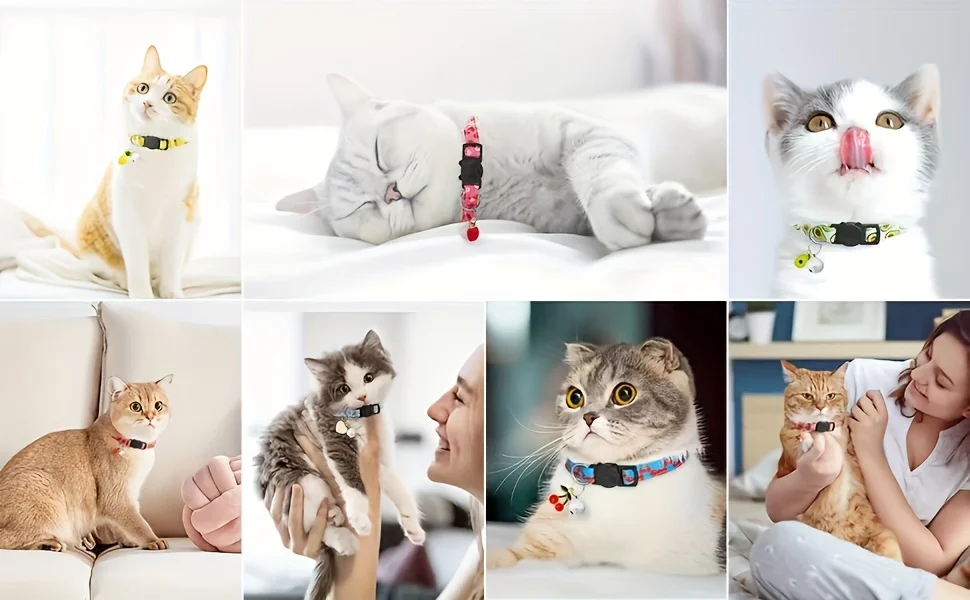 Lot 7 colliers réfléchissants pour chat – Image 7