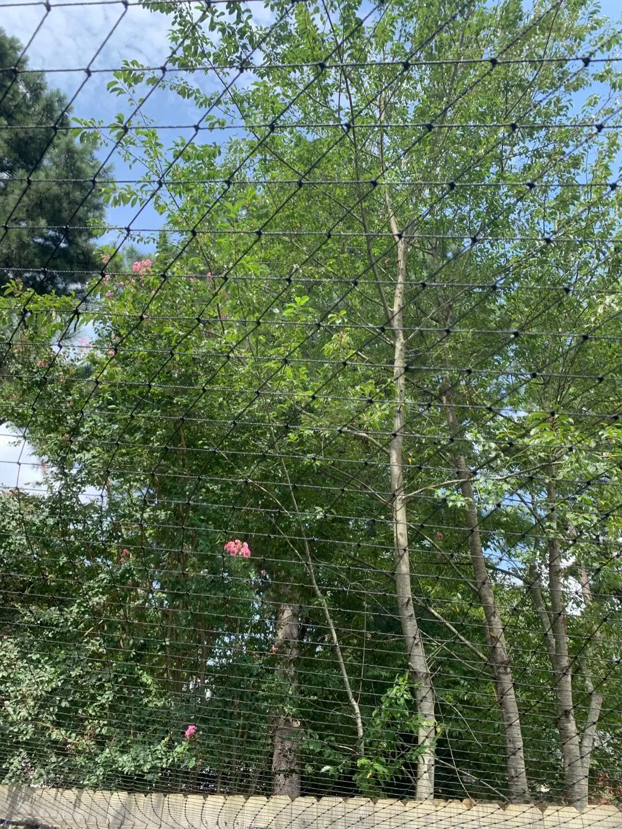 Filet renforcé fil d’acier pour balcon et jardin – Image 14