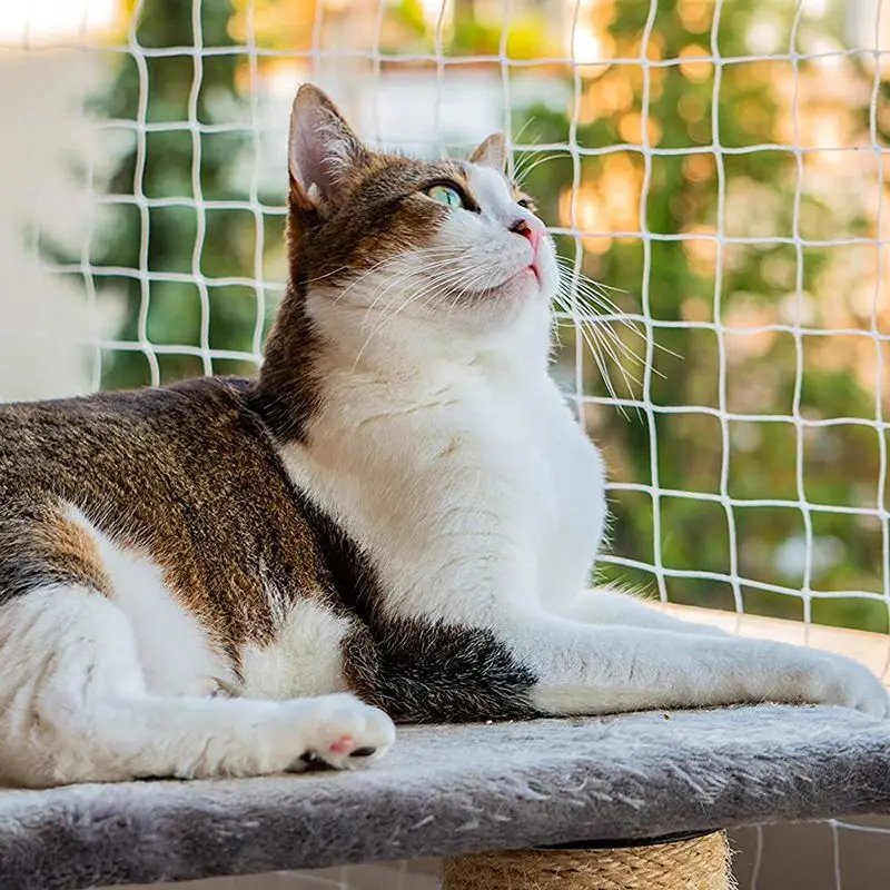 Filet de sécurité balcon anti-chute pour chat – Image 2