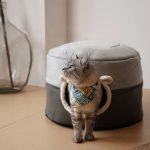 Lit tapis d'hiver confortable pour chat Pour toi Mon chat